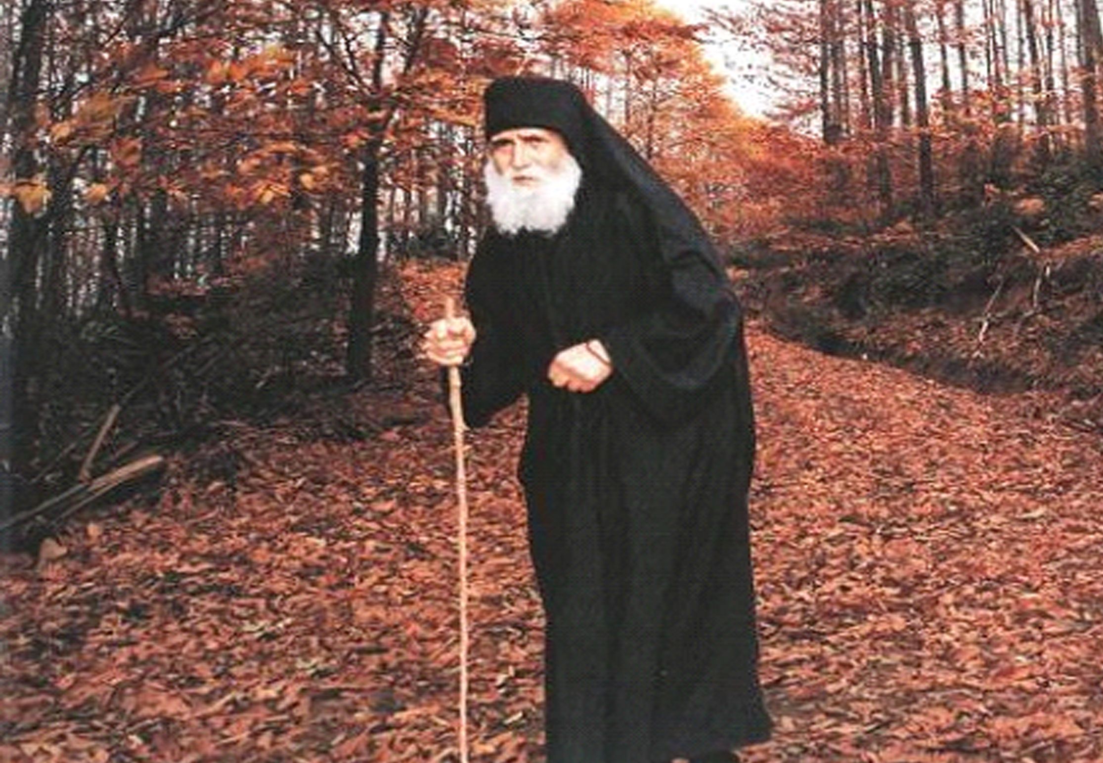 ΖΟΥΜΕ ΤΑ ΠΡΟΦΗΤΙΚΑ ΛΟΓΙΑ ΤΟΥ ΑΓΙΟΥ ΠΑΪΣΙΟΥ